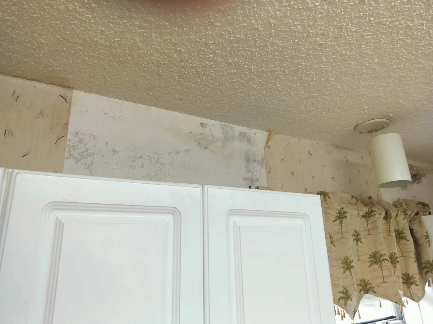 Just 'N' Time Home Services completed project photo in the Fort Walton Beach area